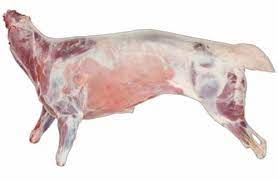 Light Red Frozen Goat Meat, for Cooking, Food, Feature : High Value, Purity