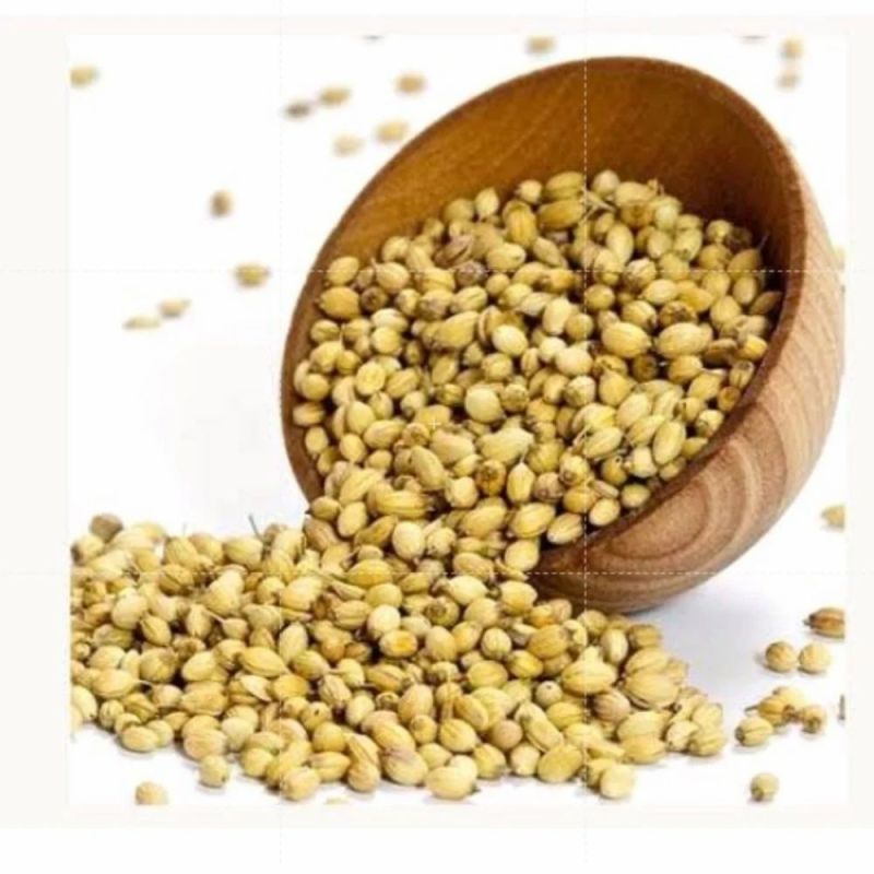 Natural Coriander Seed, for Cooking, Purity : 99.9%