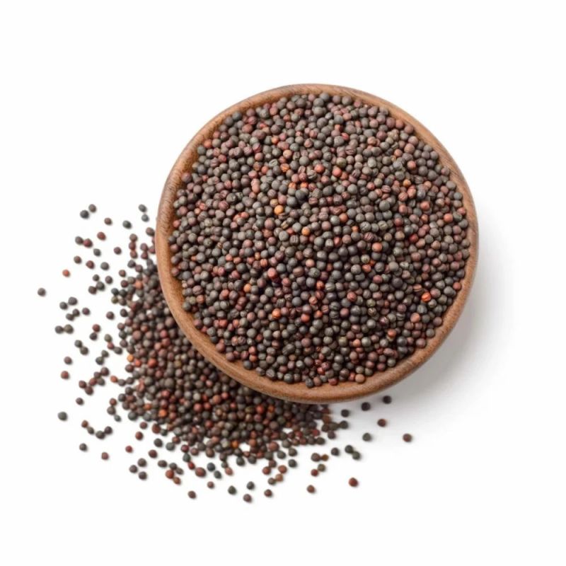 Mustard Seeds, for Cooking, Packaging Size : 25 Kg