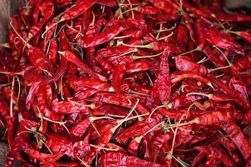 Red Chilli, for Cooking, Spices Human Consumption, Making Pickles, Packaging Size : 25 Kg