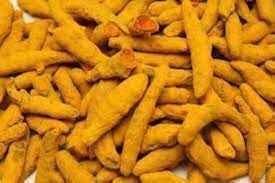 Yellow Stick Turmeric Finger, for Cooking, Spices, Packaging Type : Gunny Bags
