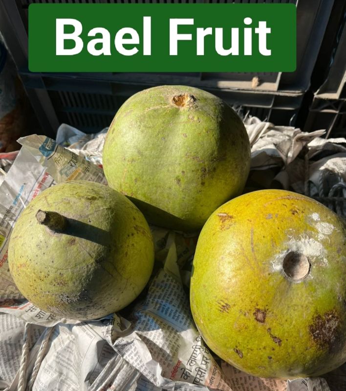 Organic Bael Fruit, For Food Medicine, Human Consumption, Packaging Type : Paper Box