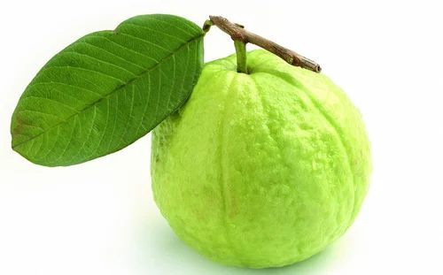 Green Natural Guava, for Human Consumption, Shelf Life : 10 Days
