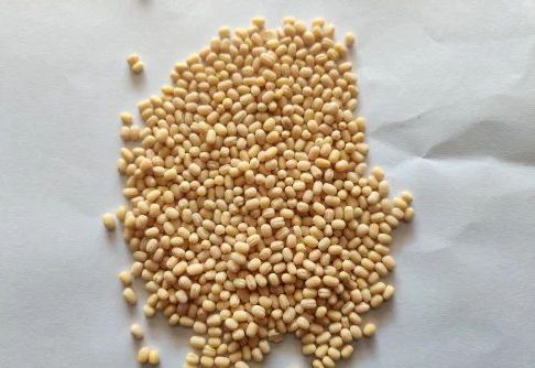 Urad Dal (WHITE), Speciality : High In Protein