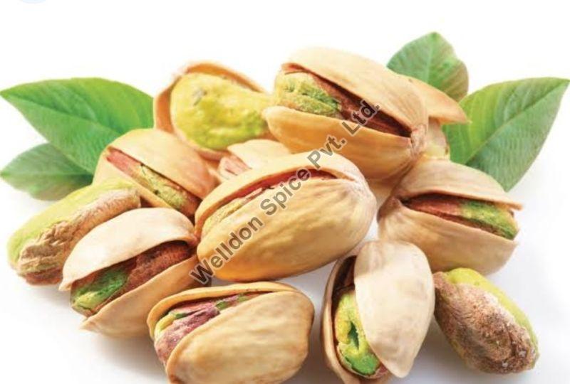 Welldon Shelled Pistachio Nuts, for Sweet Dishes, Direct Consumption, Taste : Salted