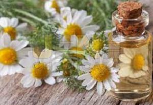 Chamomile Oil