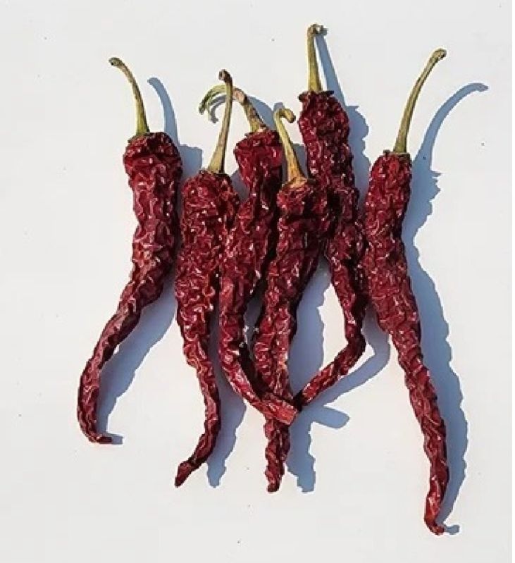 Raw Natural Byadgi Dry Red Chilli, for Spices, Cooking, Certification : FSSAI Certified