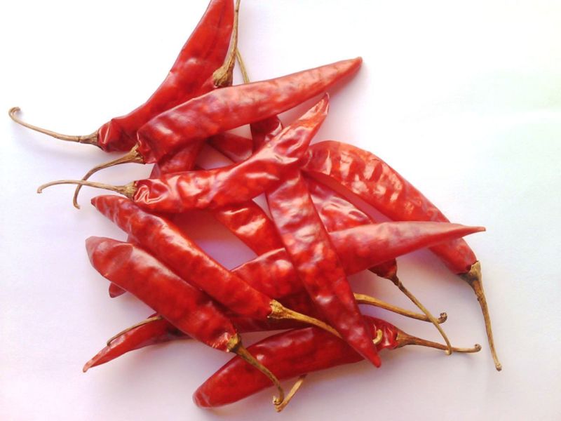 Natural Teja Dry Red Chilli, for Spices, Cooking, Packaging Type : Plastic Packet