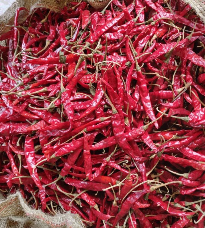 Teja S17 Dry Red Chilli, for Spices, Cooking, Packaging Type : Plastic Packet
