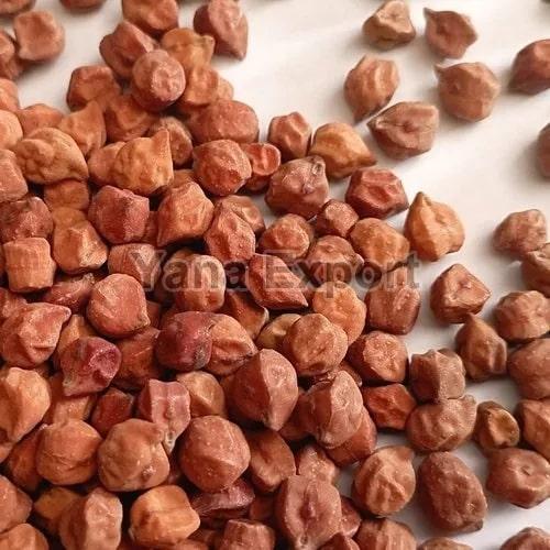 Hard Organic Black Chickpeas, for Cooking, Certification : FSSAI Certified