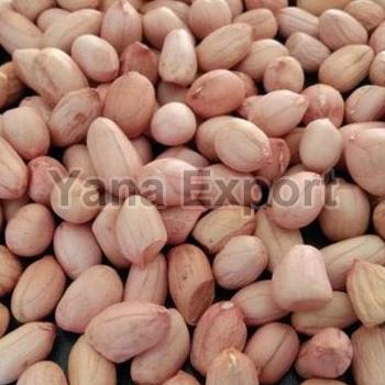 Java Peanut Seeds