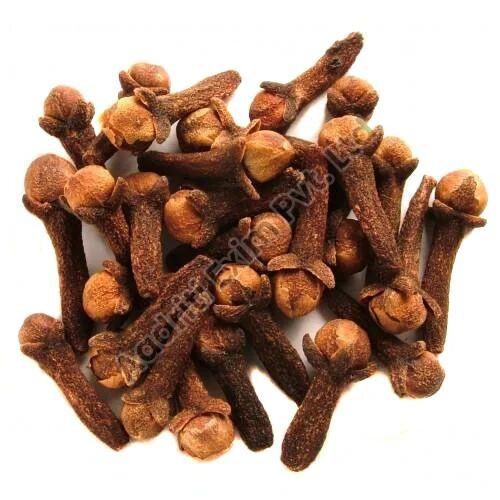 Raw Organic Dry Cloves, for Cooking, Spices, Food Medicine, Packaging Type : Plastic Packet