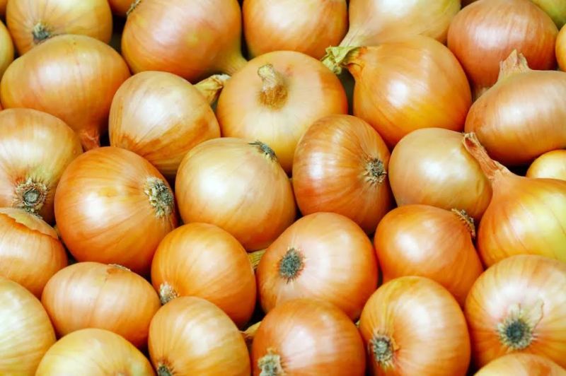 Fresh Sweet Onion, for Human Consumption, Packaging Size : 10 Kg