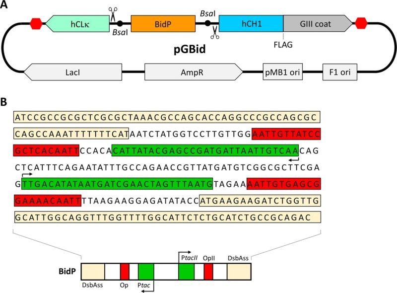 custom oligo synthesis services