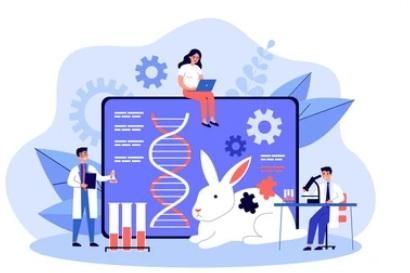 Enzyme Cascade Design