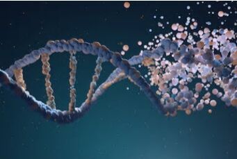 Enzyme Design For Chiral Synthesis
