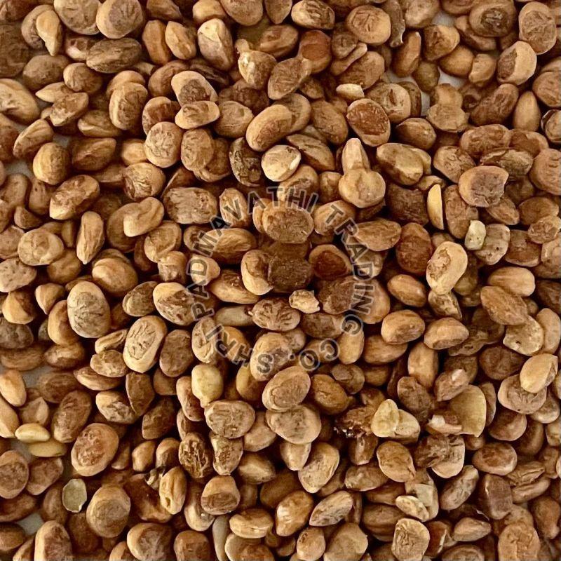 Chironji Seeds, for Spices, Used In Desserts, Direct Consumption, Packaging Type : Plastic Packet