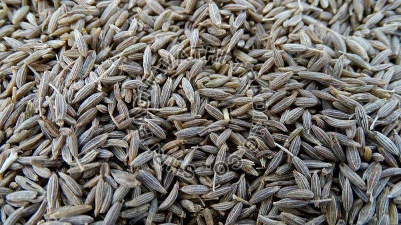 Brown cumin seeds, for Cooking, Packaging Type : Paper Box, Plastic Packet