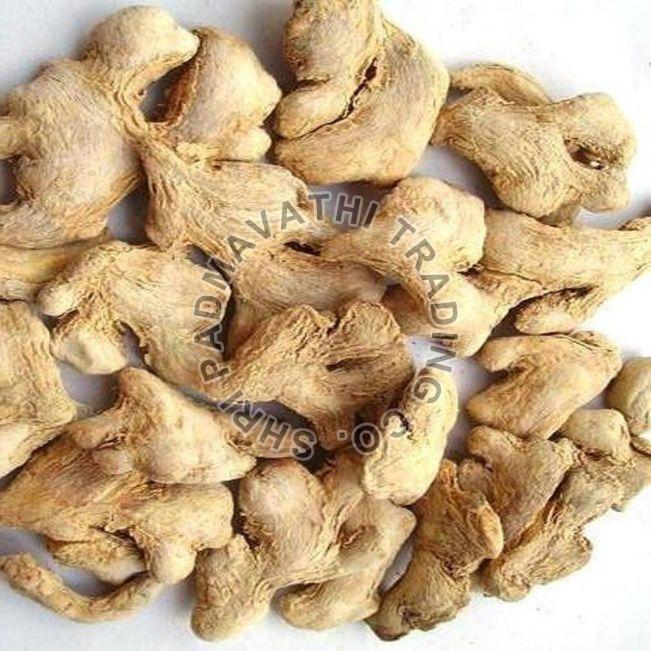 Natural Dried Ginger, for Cooking, Shelf Life : 6 Month