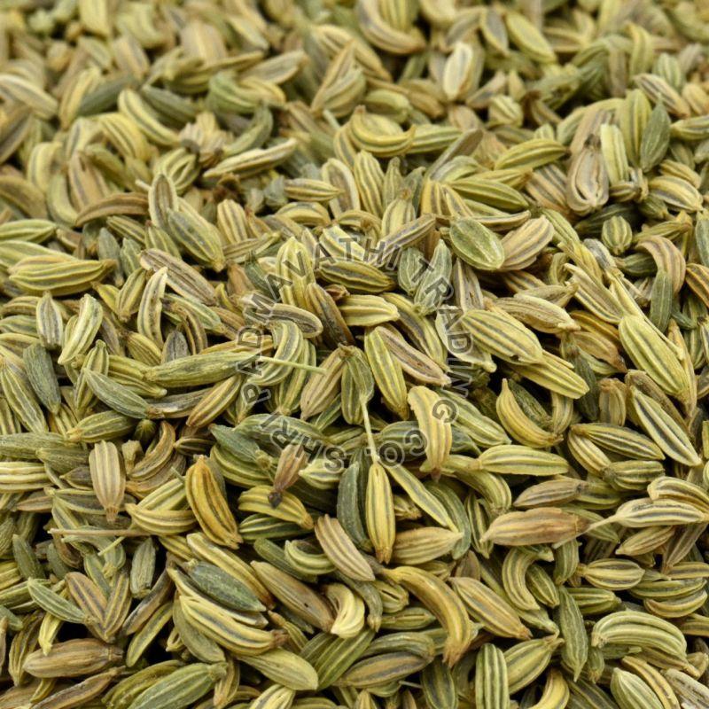 Light Green Fennel Seeds, for Cooking, Packaging Type : Plastic Packet