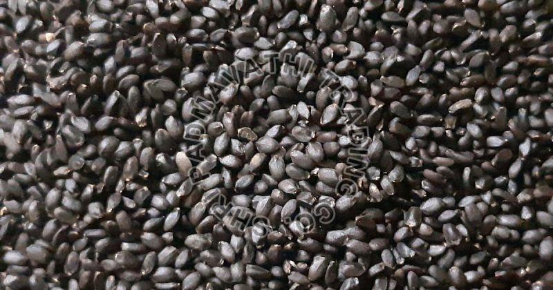 Black Sabja Seeds, for Health Supplement, Medicinal, Shelf Life : 18 Months