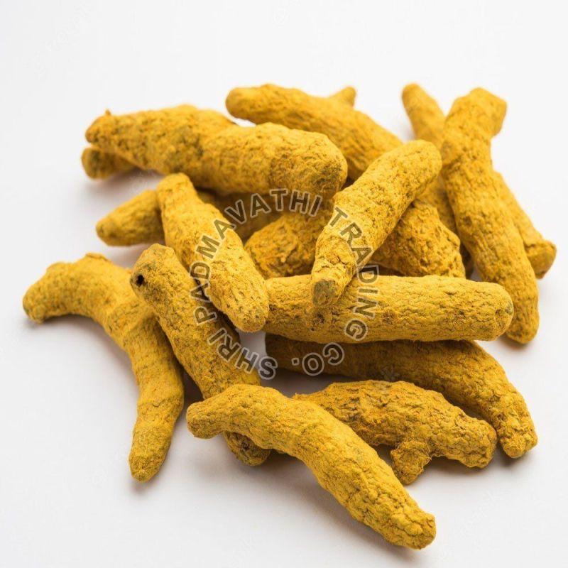 Yellow Whole Turmeric Finger, for Cooking, Packaging Type : Plastic Packet