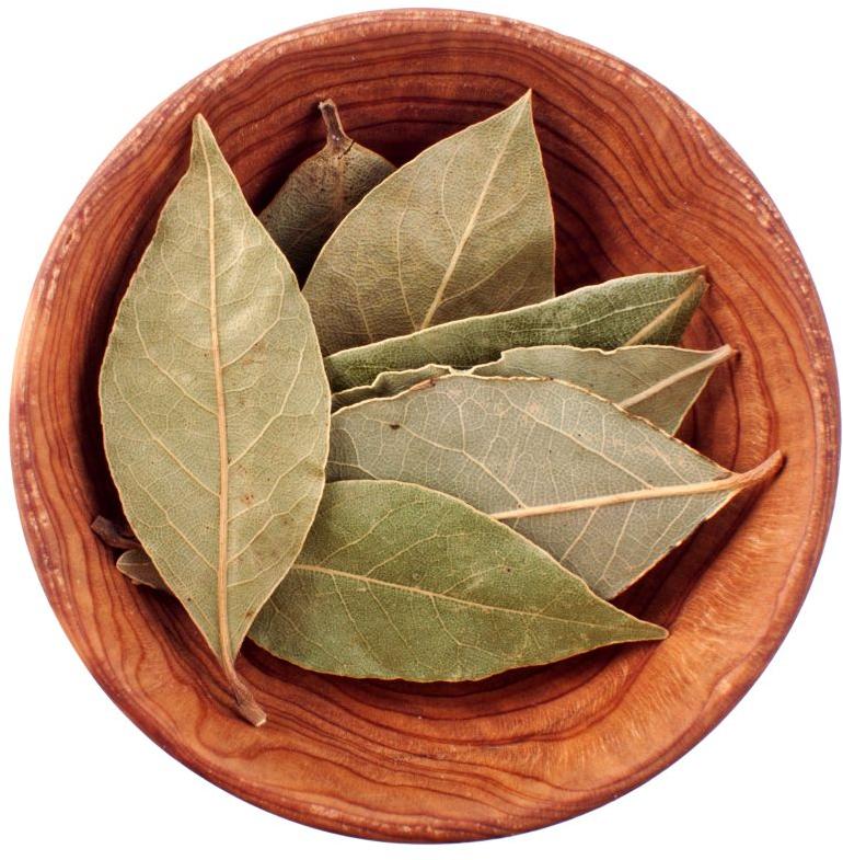 Green Bay Leaf, For Cooking, Shelf Life : 6 Months