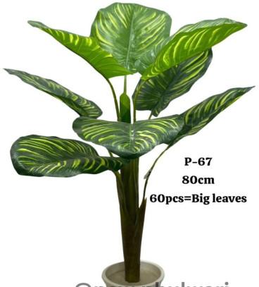 Artificial Small Pin Stripe Calathea Plant, Feature : Easy Washable