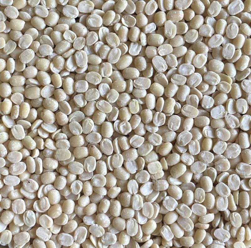 Organic White Urad Dal, Speciality : High In Protein