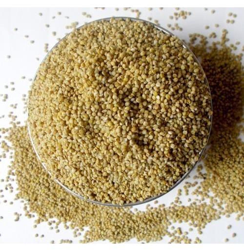 Common Browntop Millet, for Cattle Feed, Cooking, Feature : Gluten Free, Natural Taste, Non Harmful