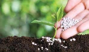 Mineral Fertilisers