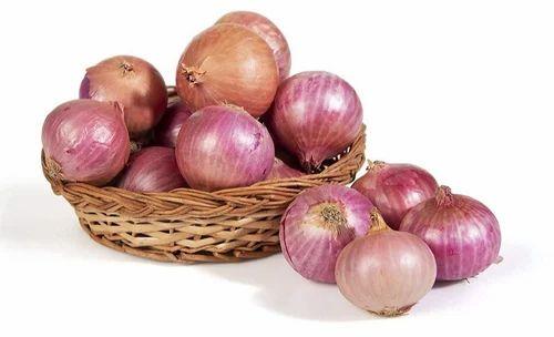 Nashik Red Onion, for Cooking, Shelf Life : 7-15days