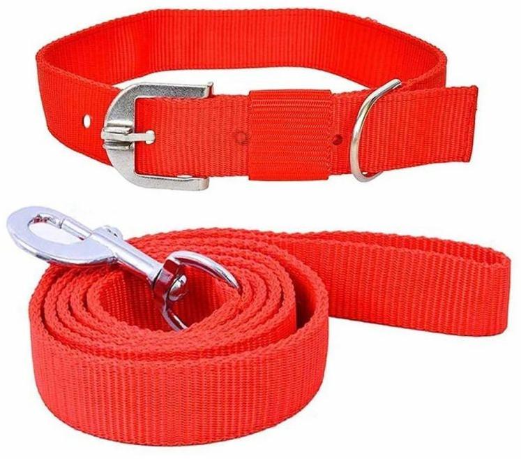 ASD International Plain Polypropylene Dog Collar and Leashes, Buckle Material : Stainless Steel