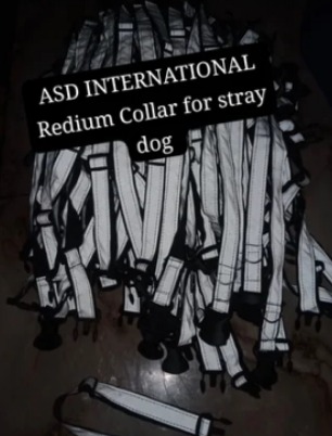 ASD International Nylon Dog Reflective Harness, Size : Small