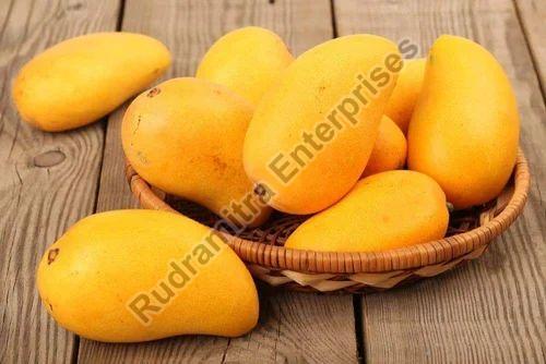 A Grade Mango