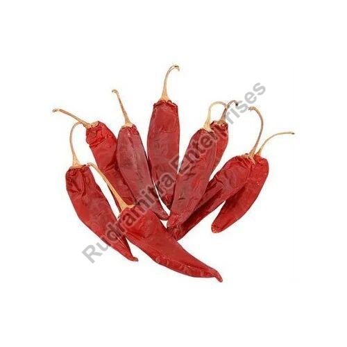 Natural Guntur Dry Red Chilli, for Cooking, Shelf Life : 6 Month