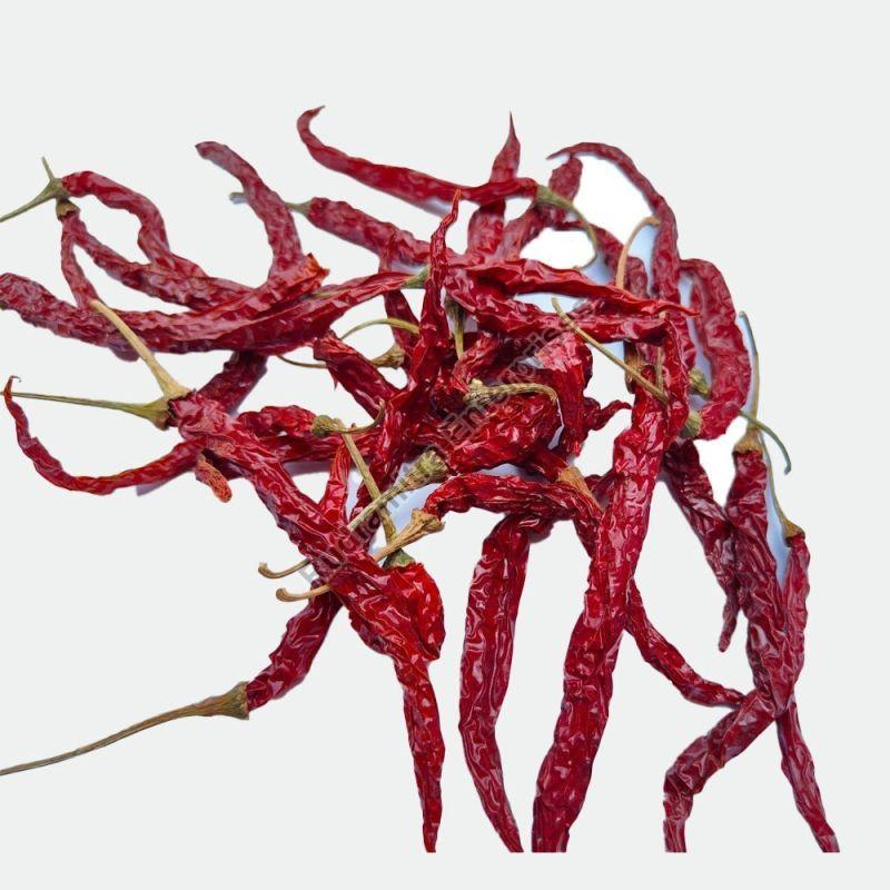 Syngenta 5531 Dry Red Chilli, for Cooking, Shelf Life : 6 Month
