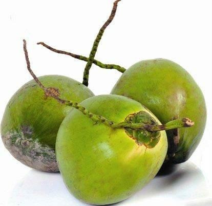 Green Organic Fresh Tender Coconut, for Medicines, Packaging Type : Gunny Bags