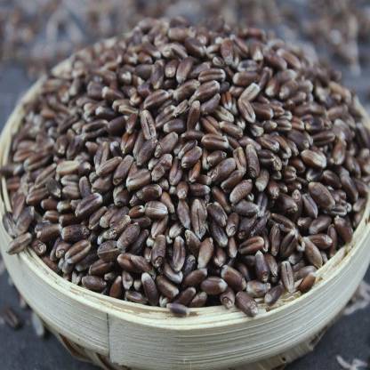 Seeds Natural Black Wheat, for Cooking, Style : Dried