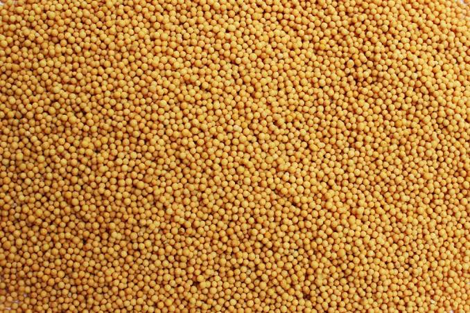 Mustard Seeds