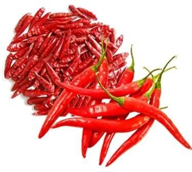 Fresh Red Chilli