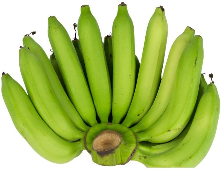 Organic Banana, Shelf Life : 1week