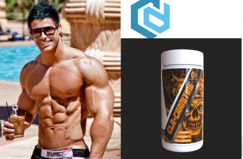 Dominion Core cla+Carnitine Food supplement