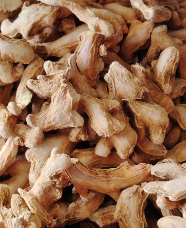 Natural Dry Ginger, for Spices, Cooking, Human Consumption, Packaging Type : Gunny Bag