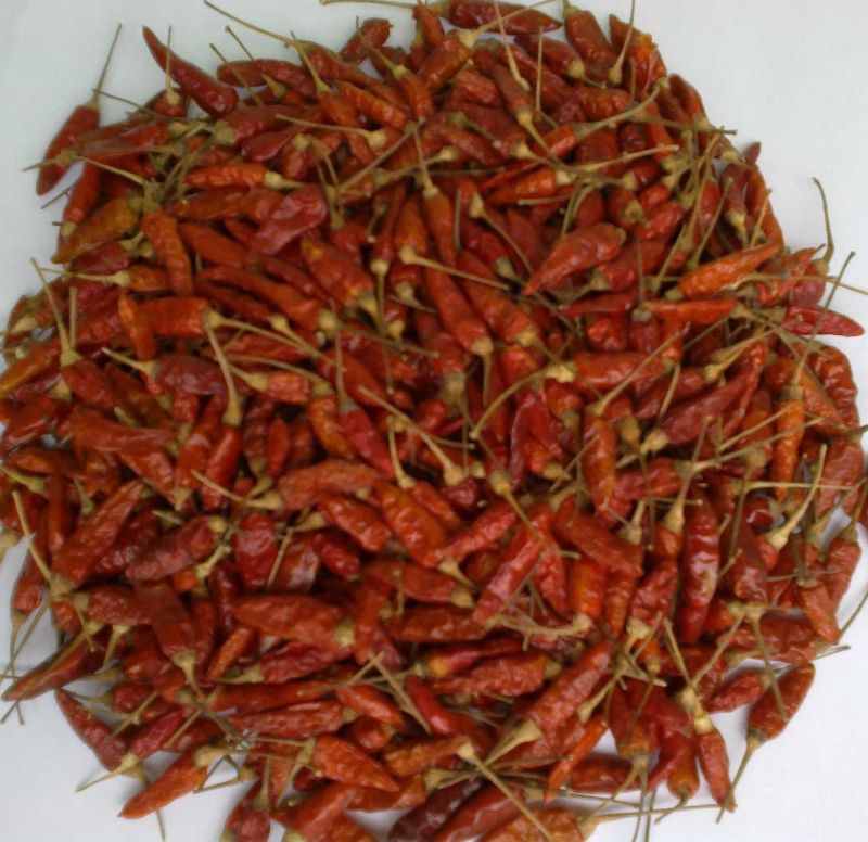 Solis Natural Birds Eye Red Chilli, for Making Pickles, Packaging Size : 30 Kg