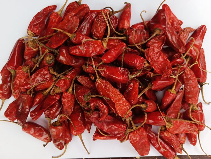 Bullet Dry Red Chilli
