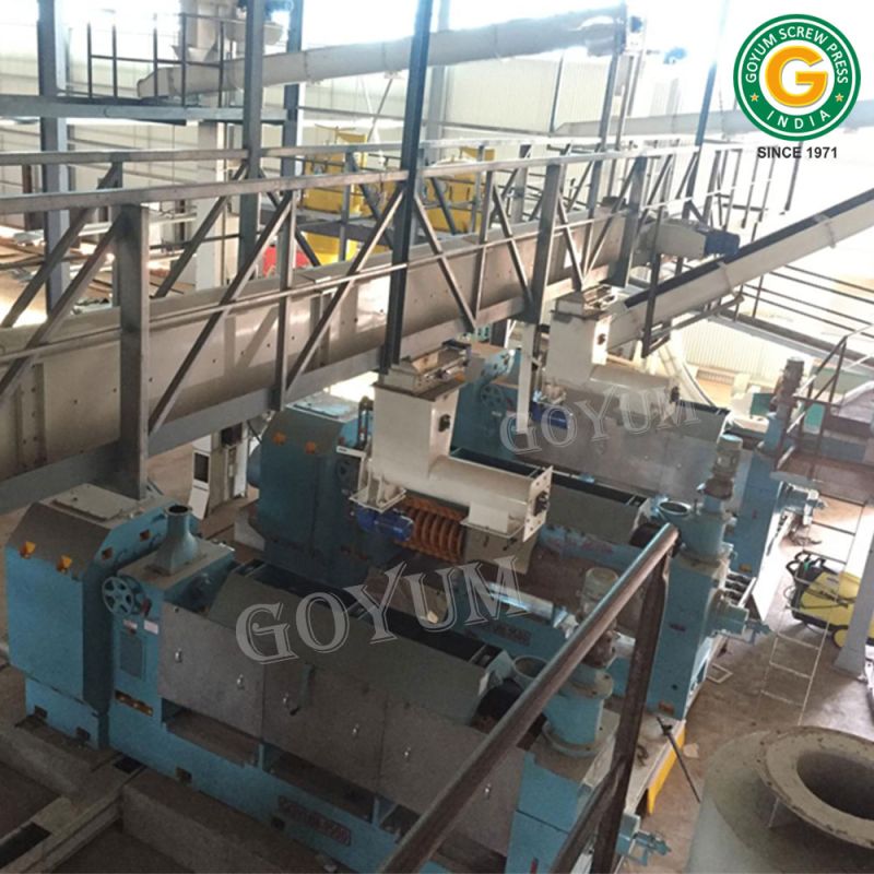 Automatic Castor Seed Oil Processing Plant