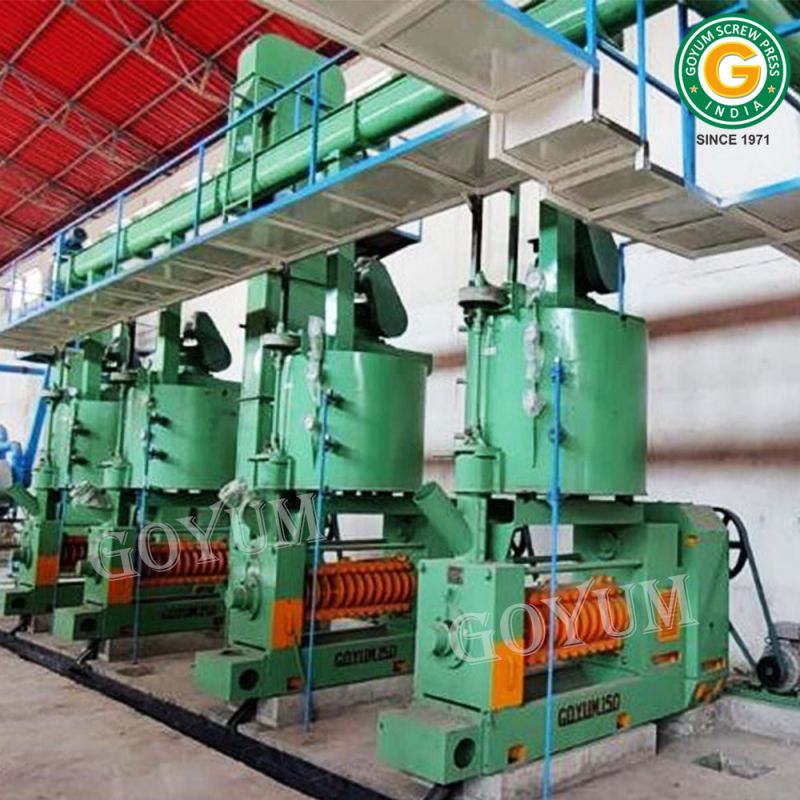 Manual Groundnut Oil Mill Plant