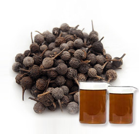 VDH Liquid Natural Cubeb Oil, for Aromatherapy, Cosmetics, Perfumery, Packaging Size : 25-180 kg