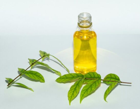 Curry Leaf Oil, for Aromatherapy, Feature : Weight Loss, Skin Revitalizer, Shiny Hair, Pore Cleaner
